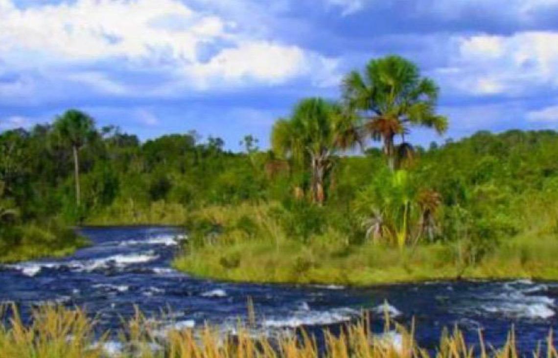 Rios do cerrado perderam 27% da vazão de água desde os anos 1970