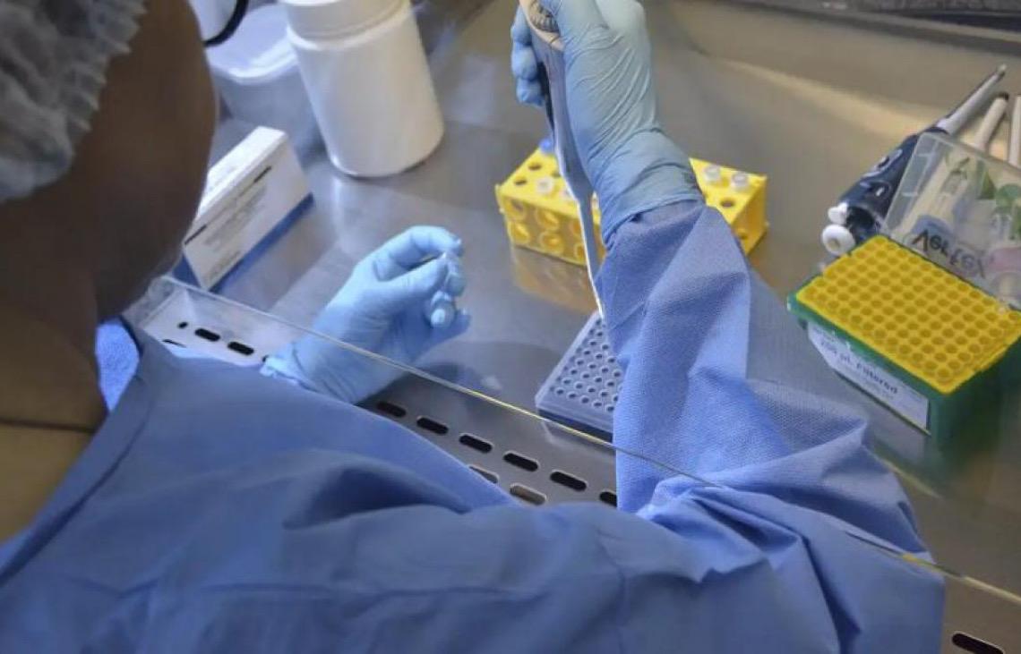 Anvisa publicou autorização do ensaio clínico para vacina da gripe aviária
