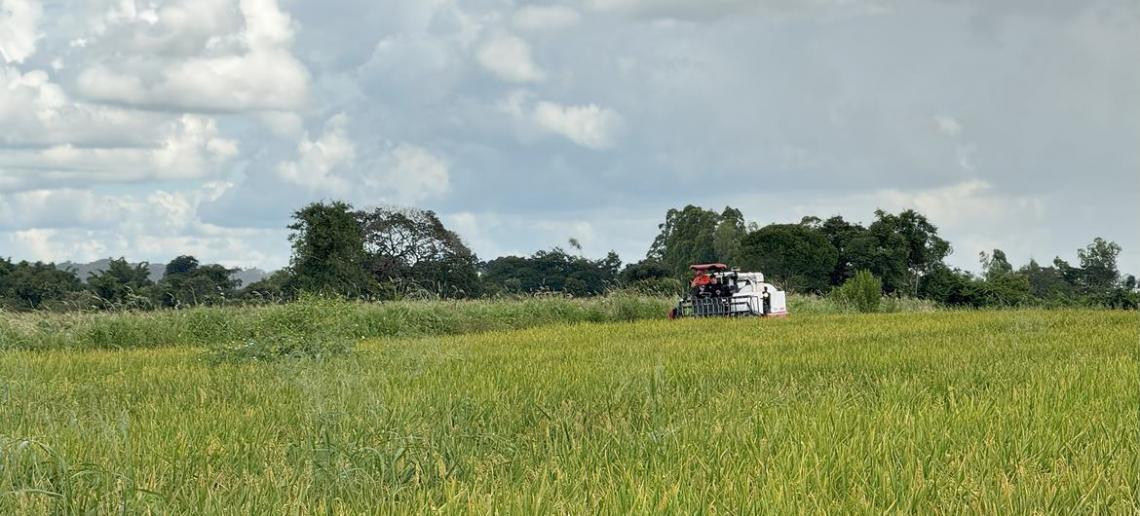 Estudo do Banco Mundial no Brasil propõe reduzir gastos para investir no meio ambiente