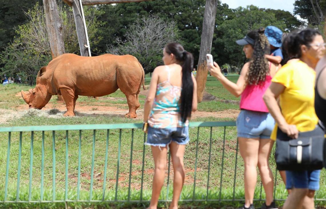 Zoo de Brasília faz força-tarefa de manutenção e adota novos protocolos para reabertura