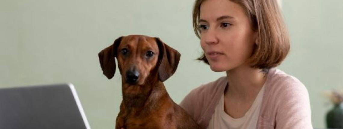 ROYAL CANIN lança plataforma de benefícios para tutores de pets