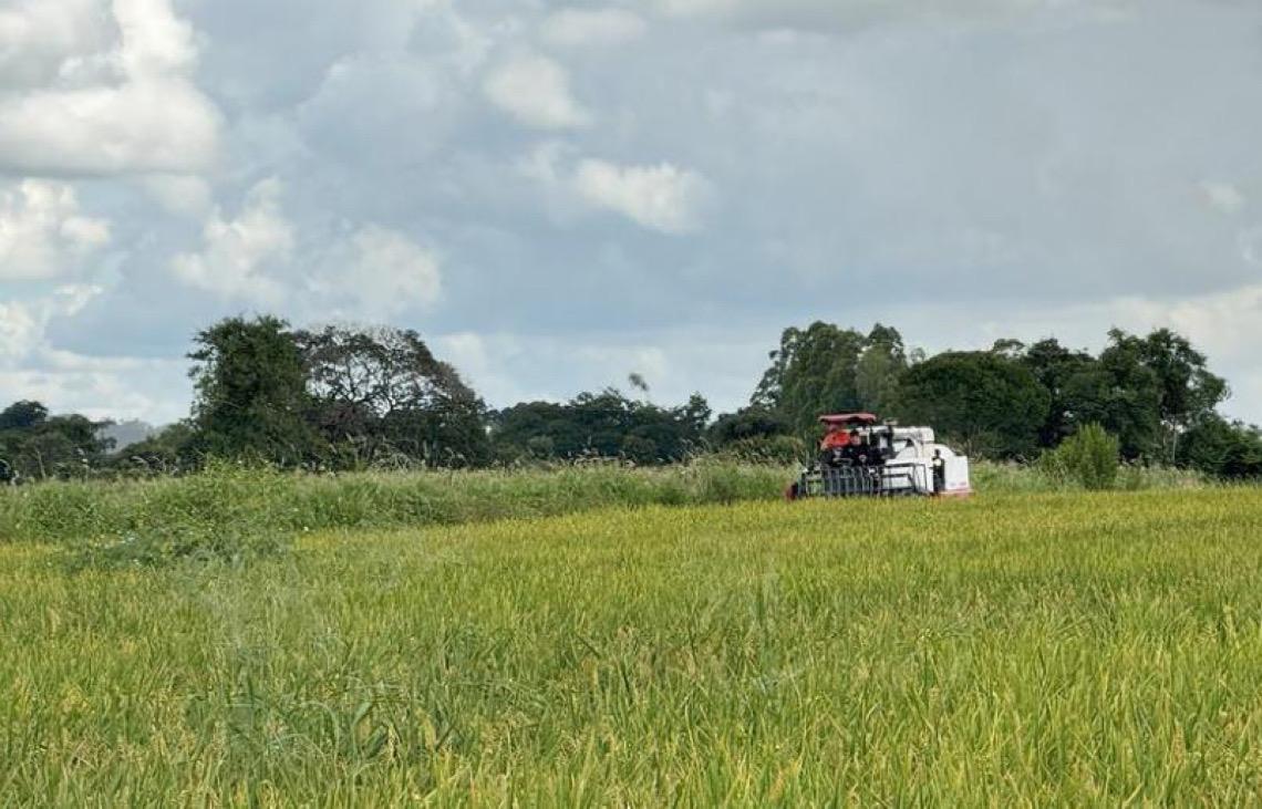 Estudo do Banco Mundial no Brasil propõe reduzir gastos para investir no meio ambiente