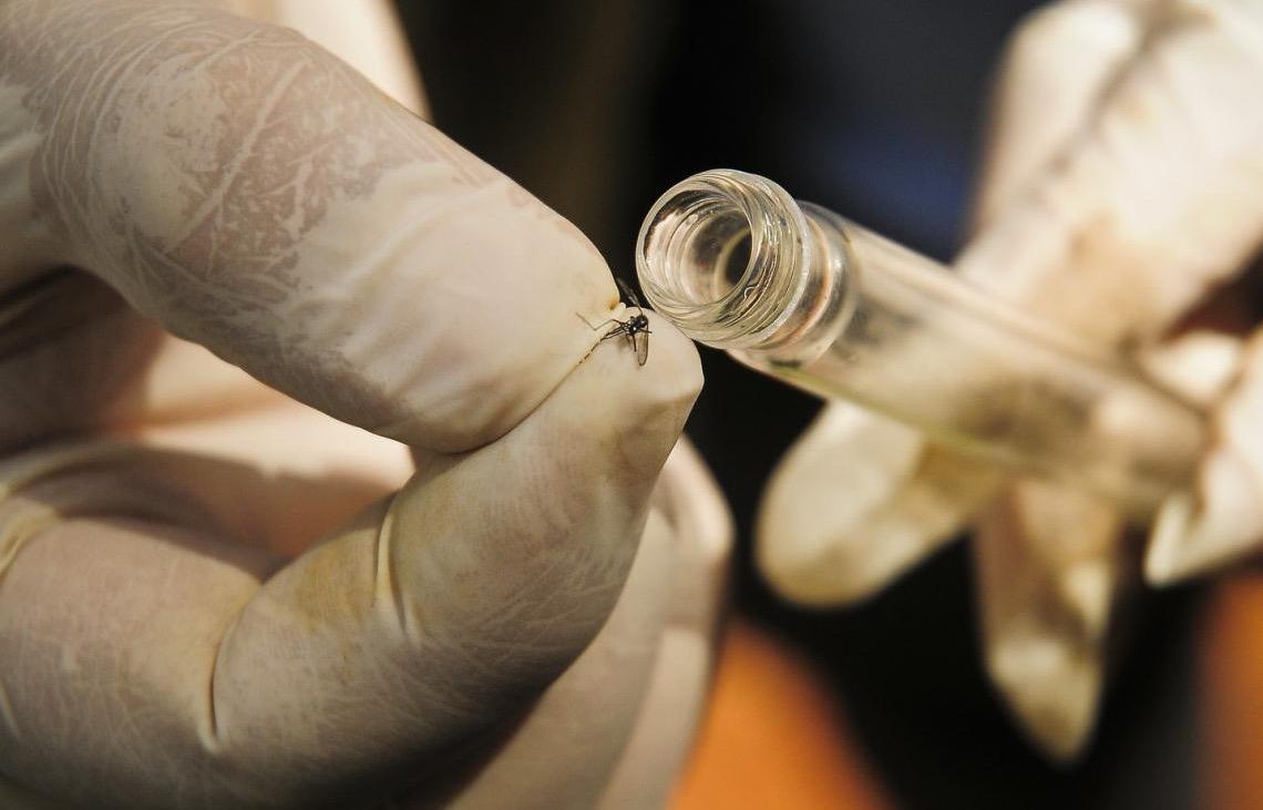 Saúde se prepara para implementar tecnologia complementar no combate à dengue