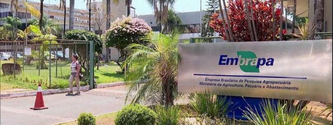 Vinte e quatro pesquisadores da Embrapa estão entre os mais citados do mundo