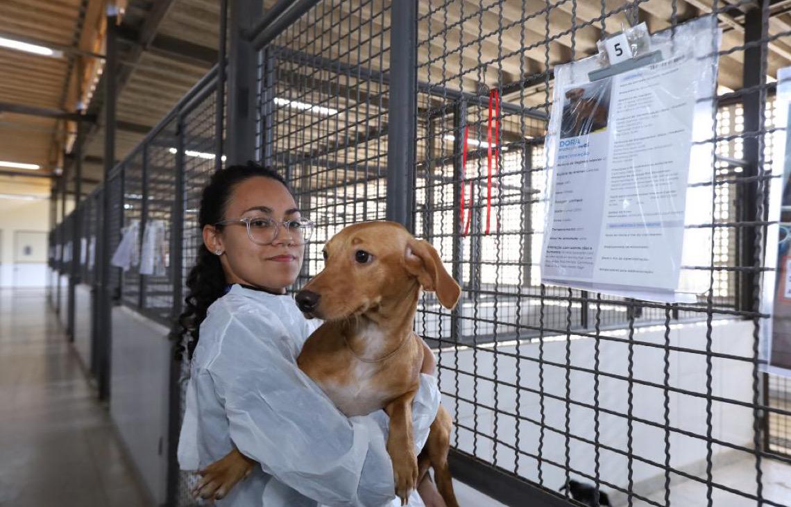 Campanha Julho Dourado alerta para importância da vacinação de pets e prevenção de zoonoses