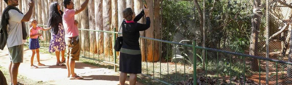 Zoológico de Brasília reabre com funcionamento diário durante o mês de julho