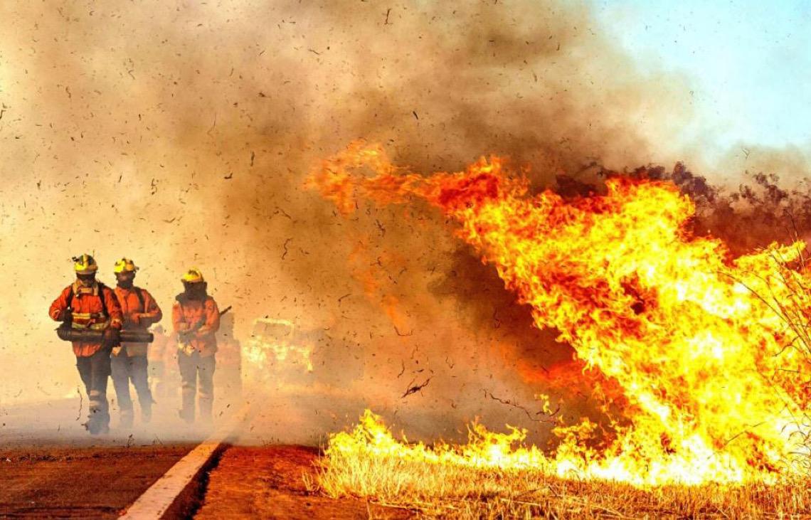 Incêndios florestais diminuem 54% no DF no primeiro semestre de 2025