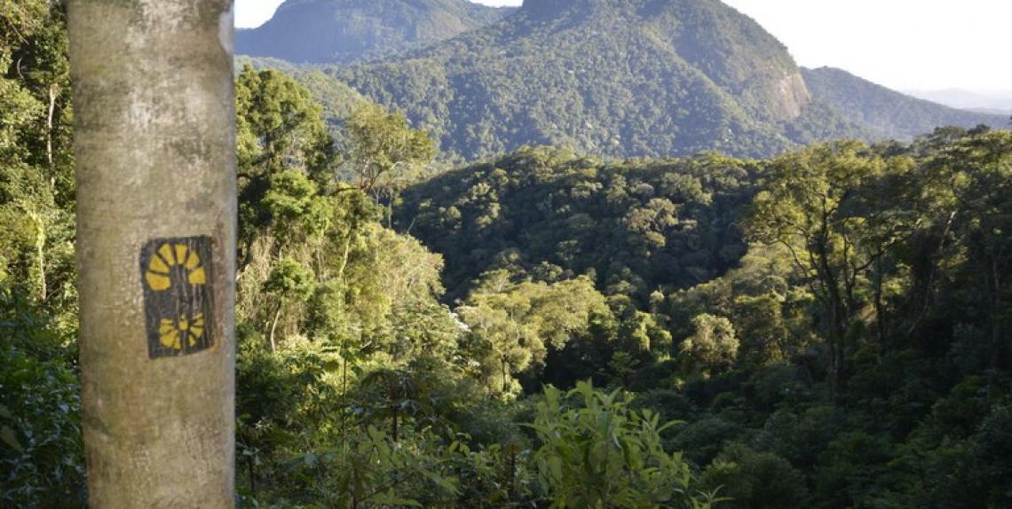 Governo impulsiona trilhas que valorizam turismo sustentável nas unidades de conservação