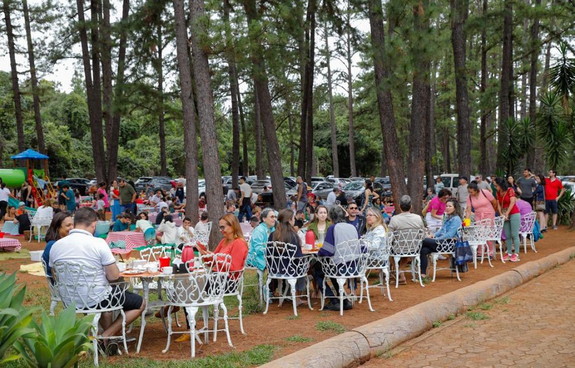 Para a prevenção de acidentes, Jardim Botânico de Brasília substituirá pinheiros por árvores nativas