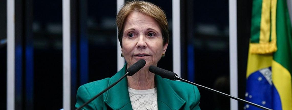 Tereza Cristina diz que Lei de Reciprocidade deve ser 'último recurso'