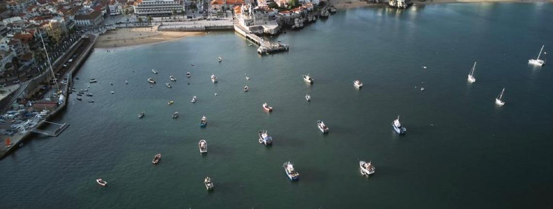 Portugal busca ampliar parcerias na cadeia de suprimentos com a China, diz líder