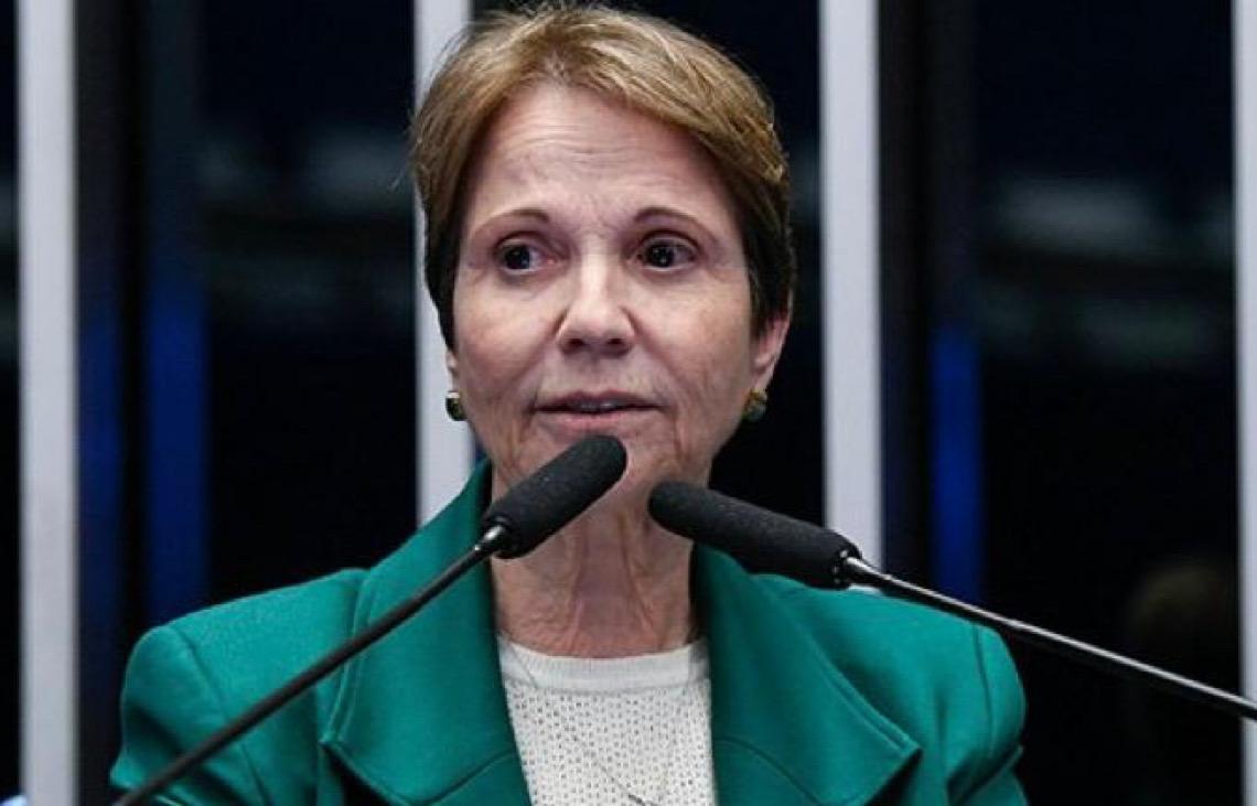 Senadora Tereza Cristina diz que Lei de Reciprocidade deve ser 'último recurso'