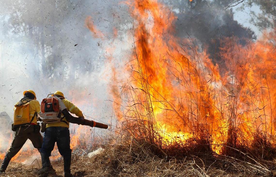 Treinamento de brigadistas reforça prevenção a incêndios florestais no DF