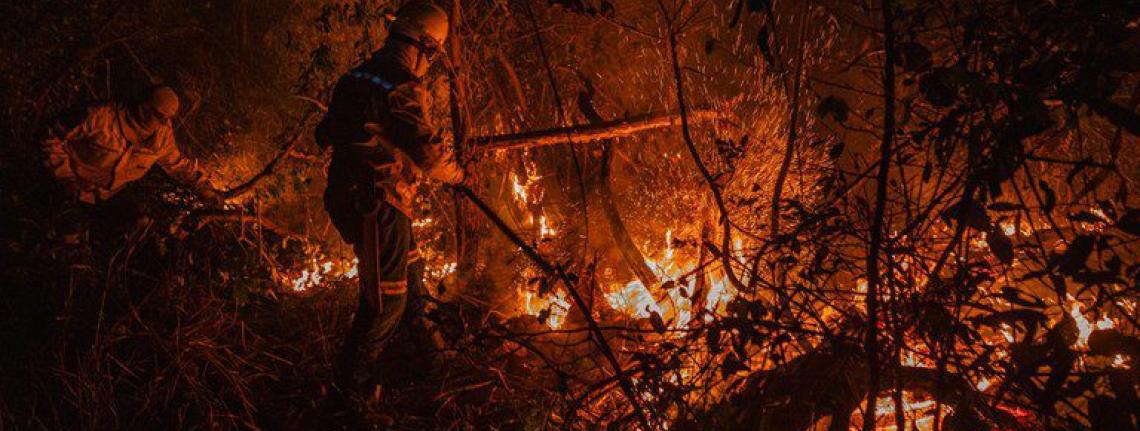 Fundo aprova R$ 150 milhões para combate a incêndios no Cerrado e no Pantanal
