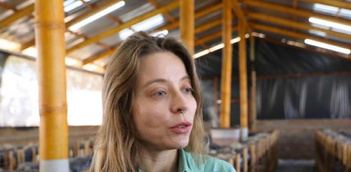 Produção de cogumelos cresce quase 50% no Distrito Federal em um ano