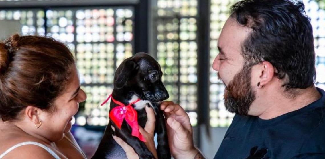 Mais da metade dos domicílios do Distrito Federal tem animal de estimação
