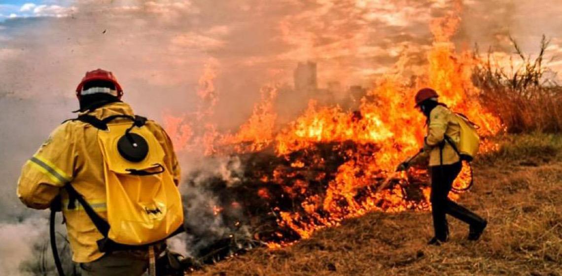 Distrito Federal amplia combate a incêndios florestais utilizando inteligência artificial