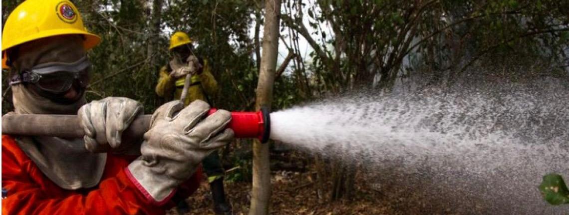 Brasil tem queda de 61% nas áreas queimadas em julho, comparação com ano passado