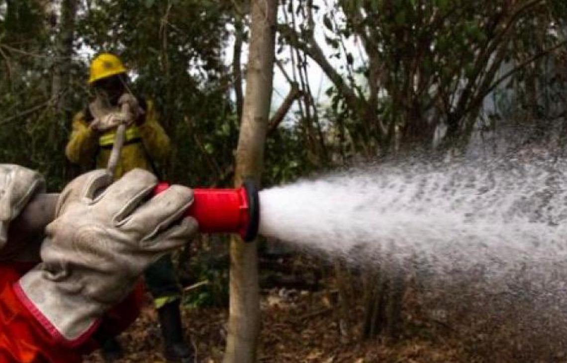Brasil tem queda de 61% nas áreas queimadas em julho, comparação com ano passado