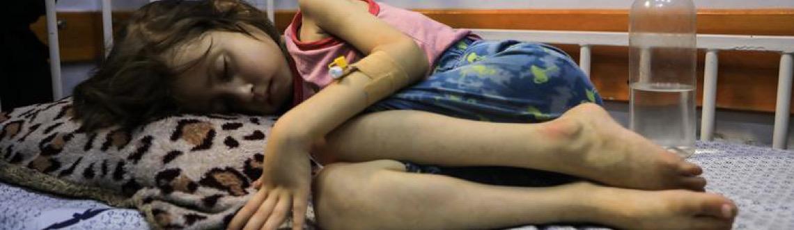 Apelo de doação para Gaza. O que está acontecendo agora