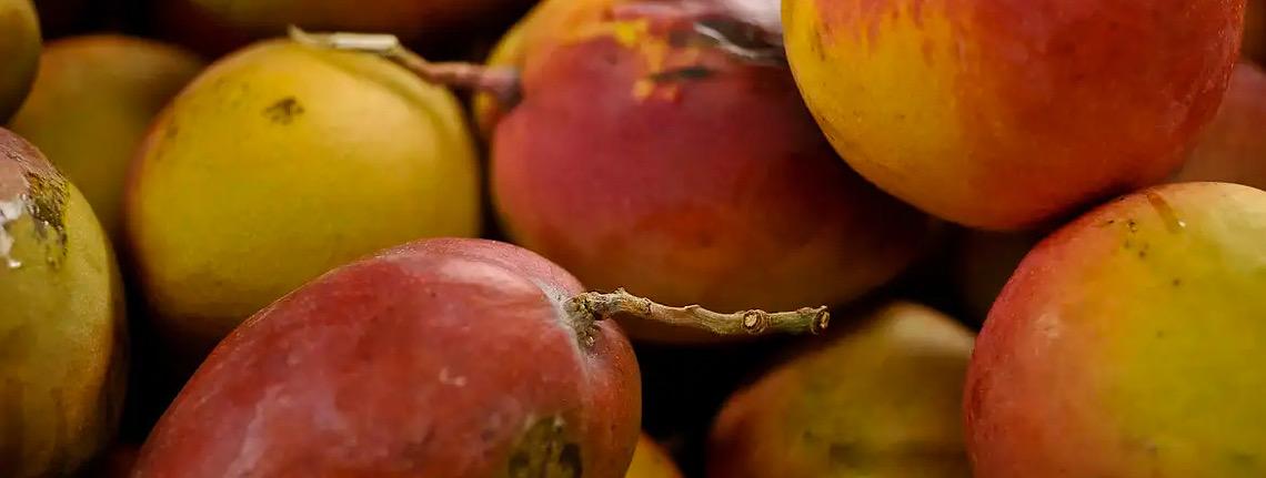Abrafrutas apoia plano e pede atenção a pequenos produtores 