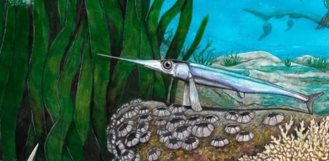 Cientistas brasileiros identificam nova espécie de peixe pré-histórico