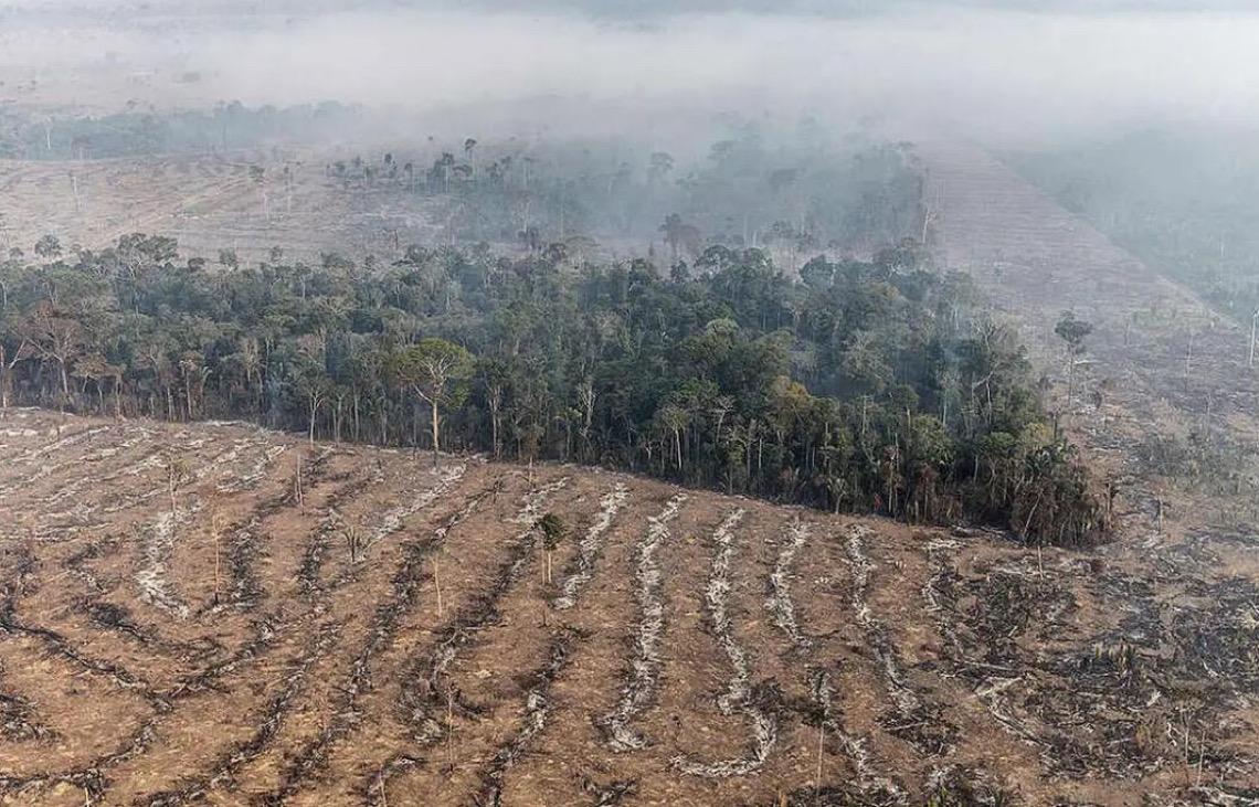 Apenas 7% de ações judiciais de grilagem na Amazônia têm condenação