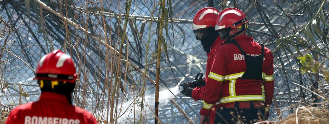 Incêndios florestais em Portugal queimam 139 mil hectares até meados de agosto