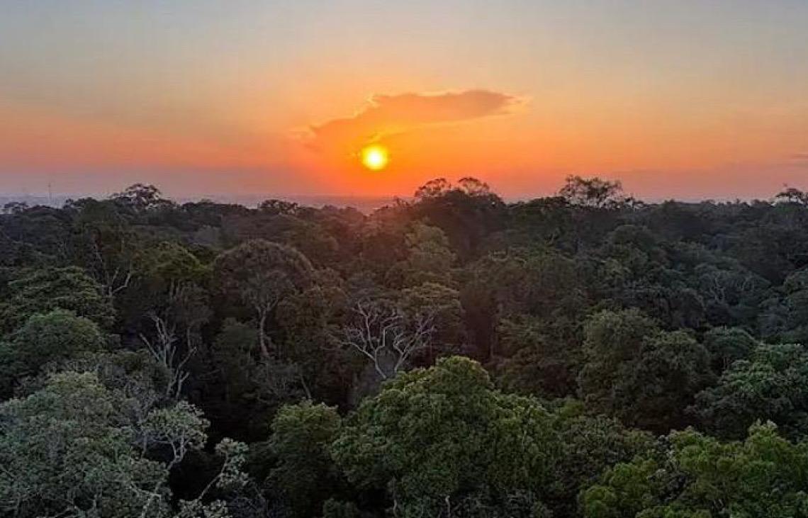 Países amazônicos defenderão fundo para preservar florestas
