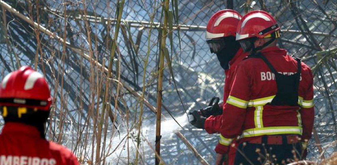 Incêndios florestais em Portugal queimam 139 mil hectares até meados de agosto