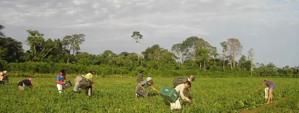 Programa AgroAmigo oferece R$ 1 bilhão em microcrédito 