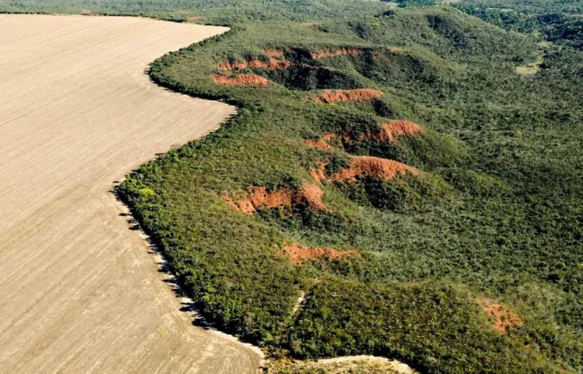 Por  Afonso Peche Filho: Alienação, destrutividade na agricultura brasileira e a possibilidade de transformação
