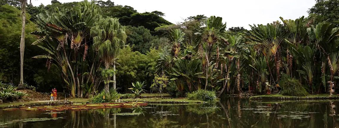 Concurso de Fotografia integra programação do Dia Mundial da Limpeza