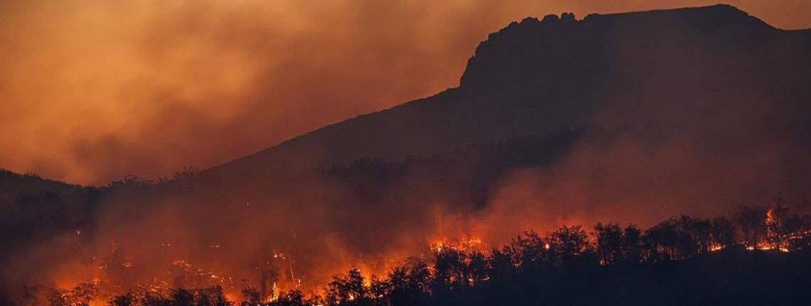 Estudo revela que África suporta maior fardo de exposição a incêndios florestais