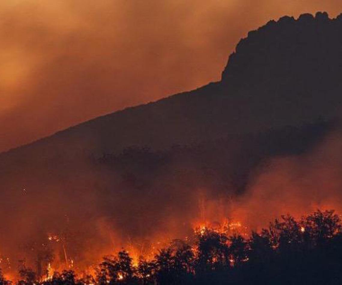 Estudo revela que África suporta maior fardo de exposição a incêndios florestais