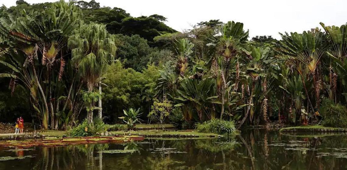 Concurso de Fotografia integra programação do Dia Mundial da Limpeza