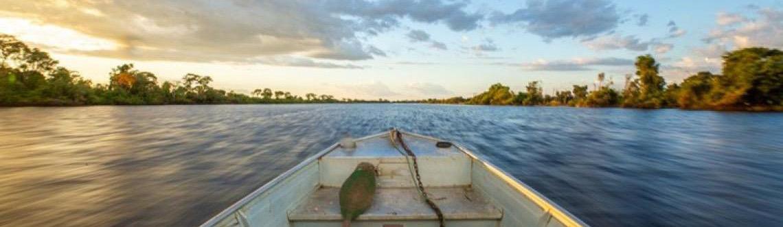 Brasília estreia série “Cerrado, Coração das Águas” no Dia Nacional do Cerrado