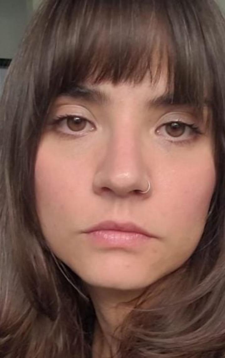 De indústria pornô a arte bolsonarista: O estranho mundo de Marie Declercq