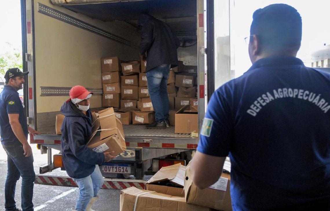 Banco de Alimentos recebe mais de 1,5 tonelada de pescados apreendidos em ações de fiscalização