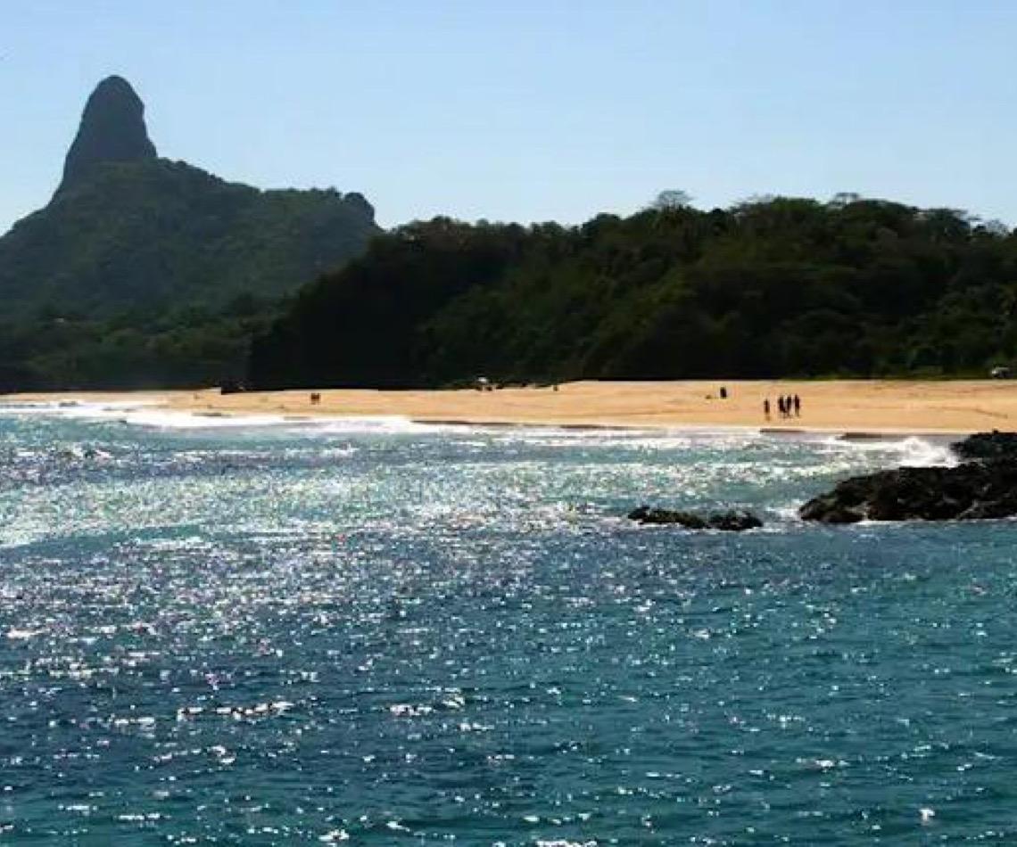 Ilhas brasileiras: Estudo revela presença de espécies exclusivas 