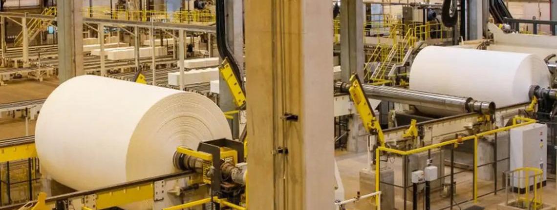 Estados Unidos retiram taxa das exportações nacionais de celulose e ferro-níquel