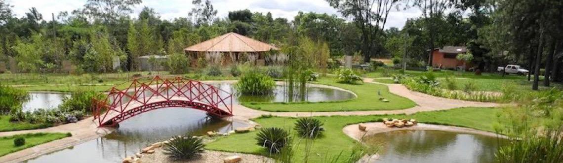 Guia sobre a vegetação do Cerrado no Jardim Botânico de Brasília é lançado