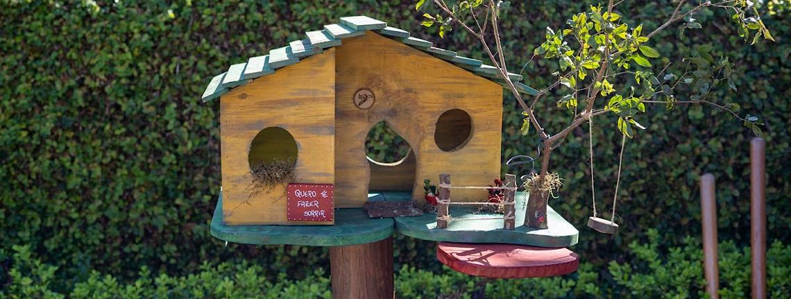 Projeto Casa de Passarinho acolhe aves urbanas no Cruzeiro