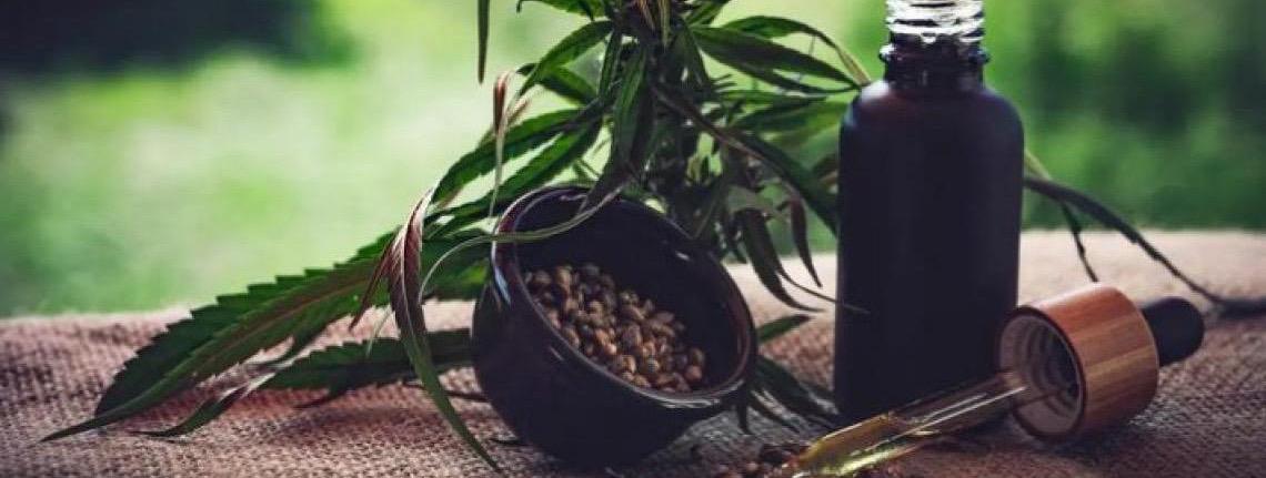 Relatório mostra como Brasil pode ser líder na produção de cânhamo e cannabis