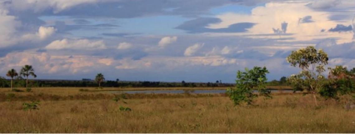 Conheça as ações do governo brasileiro para ampliar a conservação do Cerrado