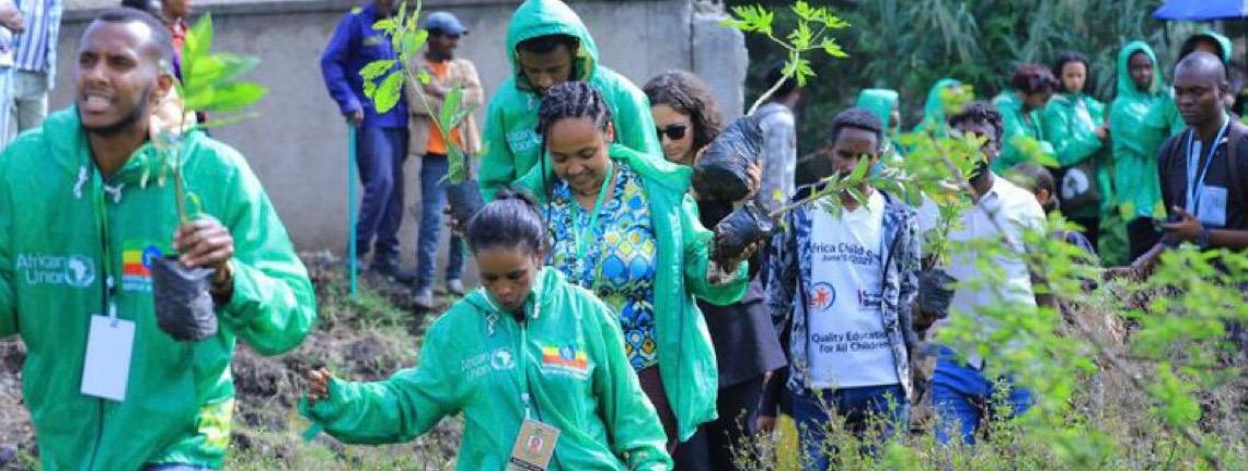 Mutirão das Juventudes COP 30 planta 300 mudas durante Cúpula do Clima da África