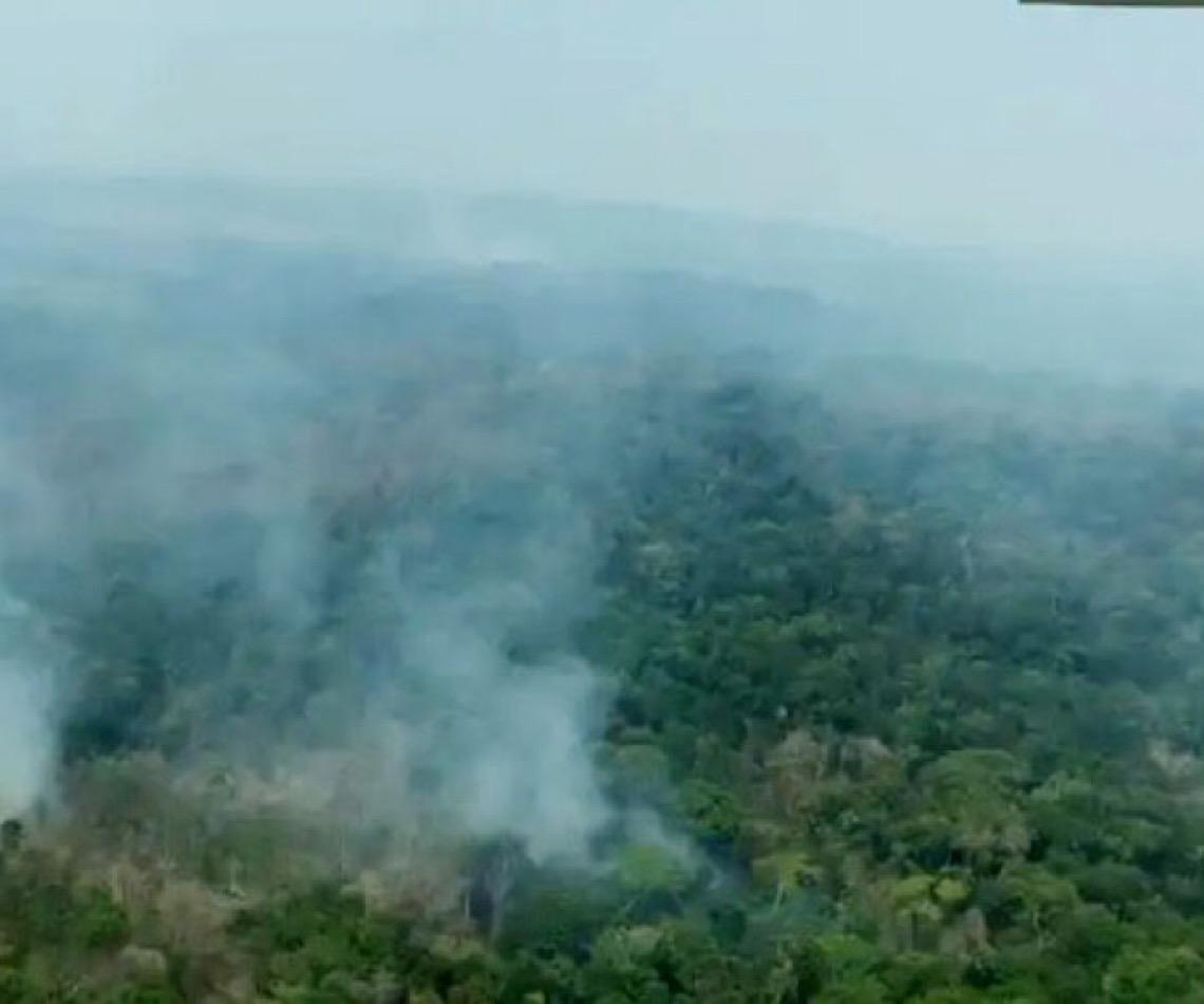 Parque da amazônia enfrenta risco de destruição entre disputas judiciais e queimadas em MT