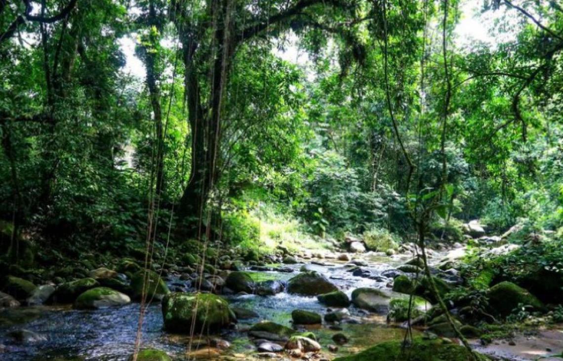 Governo brasileiro institui programa para fortalecer o turismo sustentável em Unidades de Conservação
