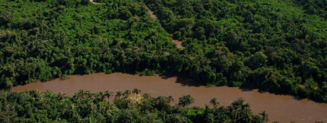 Governo brasileiro lança editais de R$ 79 milhões para restaurar áreas no Arco do Desmatamento