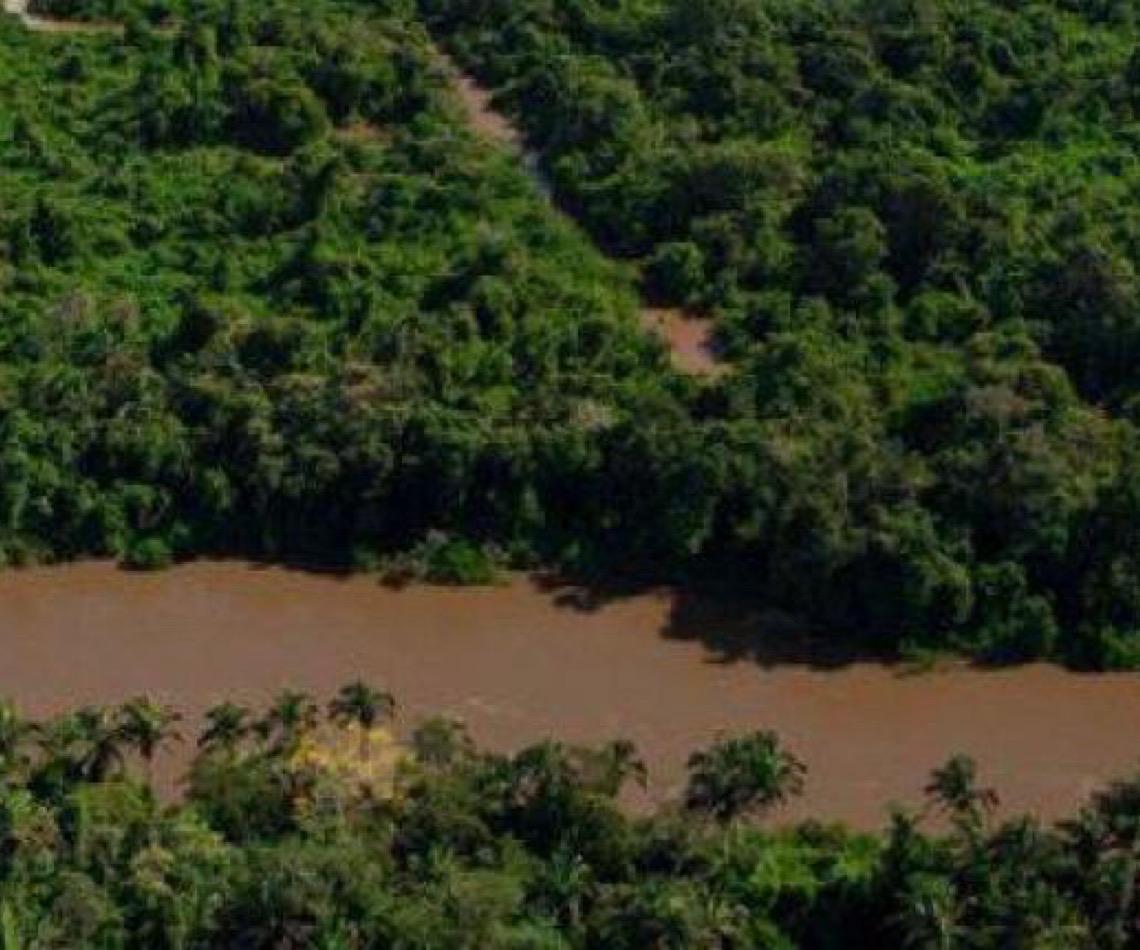 Governo brasileiro lança editais de R$ 79 milhões para restaurar áreas no Arco do Desmatamento